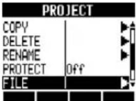 PROJECT COPY DELETE RENAME PROTECT OFF FILE