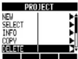 PROJECT NEW SELECT INFO COPY DELETE