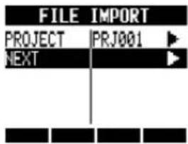 FILE IMPORT PROJECT | PRJ001 NEXT