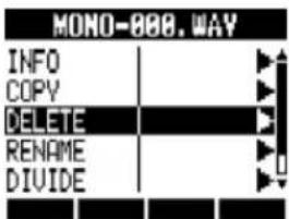 MONO-888.WAY INFO COPY DELETE RENAME DIVIDE