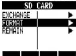 SD CARD EXCHANGE FORMAT REMAIN