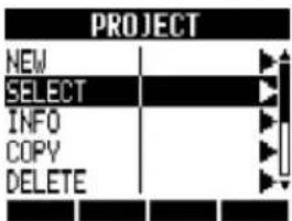 PROJECT NEW SELECT INFO COPY DELETE