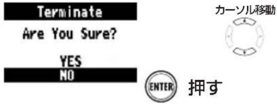 Terminate Are You Sure? YES NO カーンル移動 ENTER 押す