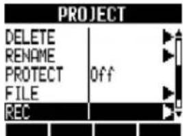 PROJECT DELETE RENAME PROTECT FILE REC Off