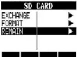 SD CARD EXCHANGE FORMAT REMAIN