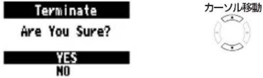 Terminate Are You Sure? YES NO カーソル移動