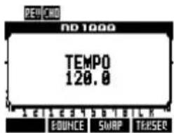 PEVCHO ND 1999 TEMP0 120.0 EONCE SWAP TEUSER
