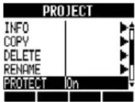PROJECT INFO COPY DELETE RENAME PROTECT On