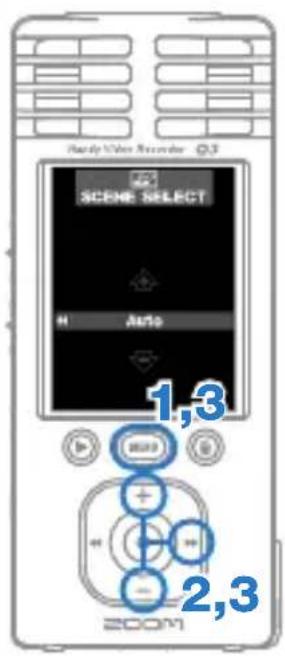 Scene Select H Auto 1,3 2,3