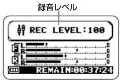 録音レベル REC LEVEL:100 REMAIN:00:37:24