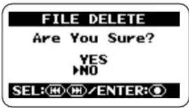 ZOOM H2 - FILE DELETE画面を呼び出します。 - 1