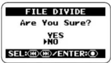 FILE DIVIDE Are You Sure? YES ▶NO SEL: 🎯/ENTER: Ⓞ