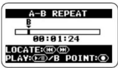 ZOOM H2 - A-B REPEAT画面を呼び出します。 - 2