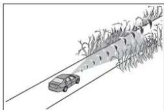 Illustration of a car driving on a road with trees in the background (no text or symbols)