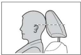 Side profile illustration of a human head and neck with a shaded anatomical structure (no text or symbols)