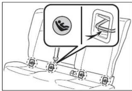 Diagram showing car seatbelt buckle with two icons: one for a person wearing a seatbelt, the other for a bicycle.