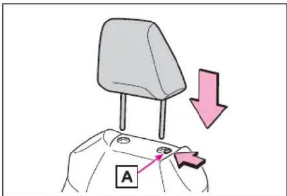 TOYOTA RAV4 Hybrid (2021) - Installing the head restraints - 1