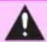 TOYOTA RAV4 Hybrid (2021) - WARNING - 4