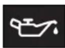 TOYOTA RAV4 Hybrid (2021) - ■Charging system warning light \* - 4
