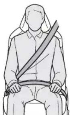 TOYOTA RAV4 Hybrid (2021) - Correct use of the seat belts - 1