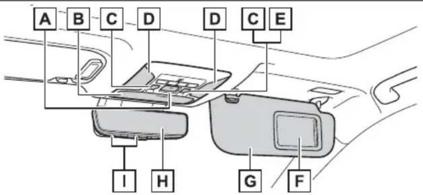 TOYOTA RAV4 Hybrid (2021) - Ceiling - 1