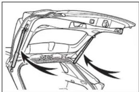 TOYOTA RAV4 Hybrid (2021) - ■Back door spindles - 1