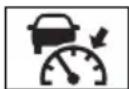 TOYOTA RAV4 Hybrid (2021) - Indicators - 9