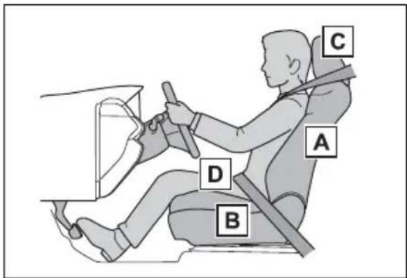 TOYOTA RAV4 Hybrid (2021) - Correct driving posture - 1