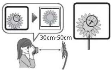 30cm-50cm