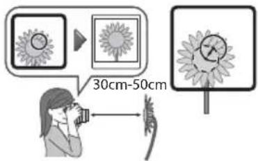 30cm-50cm