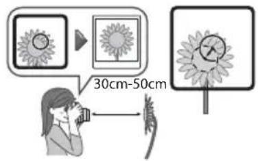 30cm-50cm