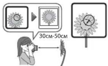 30cm-50cm