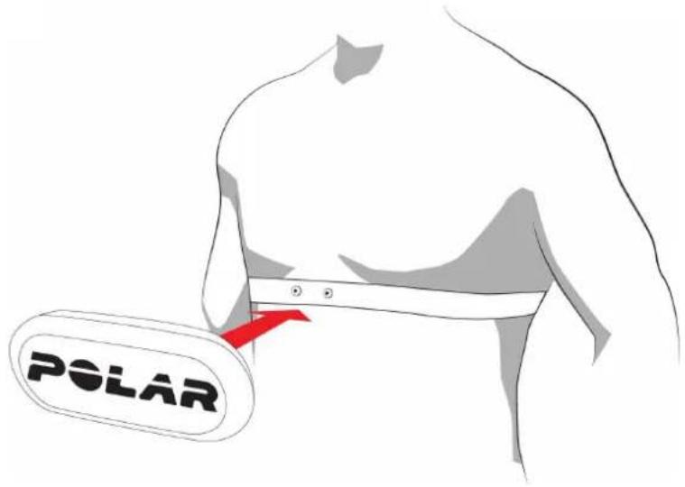 POLAR H9 - SÄDAN TAGER DU PULSMÅLEREN PÅ - 2