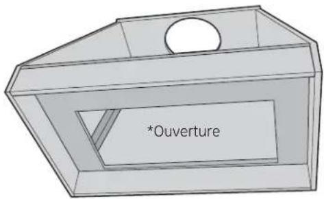 *Ouverture