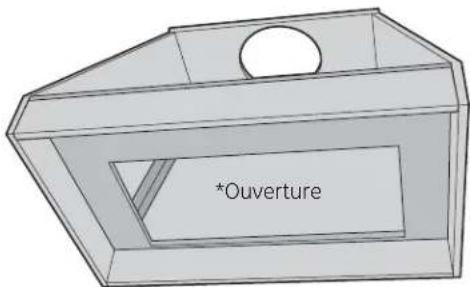 *Ouverture