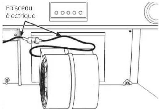 Faisceau électrique