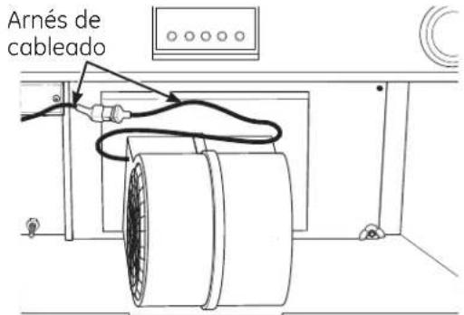 Arnés de cableado