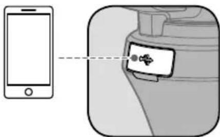 Diagram showing a smartphone connected to a device with a logo, likely illustrating a mobile app interface or security concept.