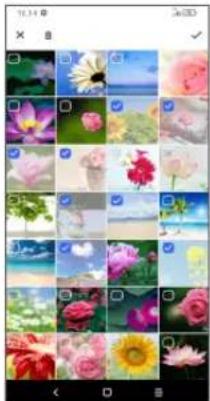 ALCATEL 3L - Administration af album - 2