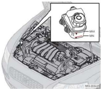 MAX MN IMG-203445