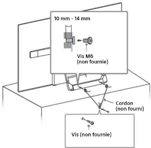 10 mm - 14 mm Vis M6 (non fournie) Cordon (non fourni) Vis (non fournie)