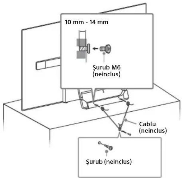 10 mm - 14 mm Şurub M6 (neinclus) Cablu (neinclus) Şurub (neinclus)