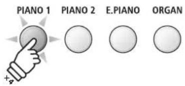 PIANO 1 PIANO 2 E.PIANO ORGAN