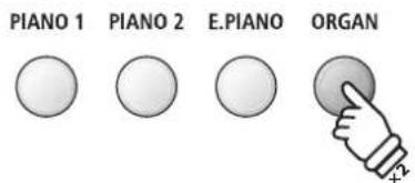 PIANO 1 PIANO 2 E.PIANO ORGAN