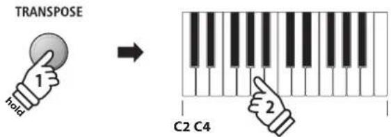 TRANSPOSE hold C2 C4