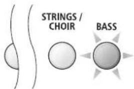 STRINGS / CHOIR BASS