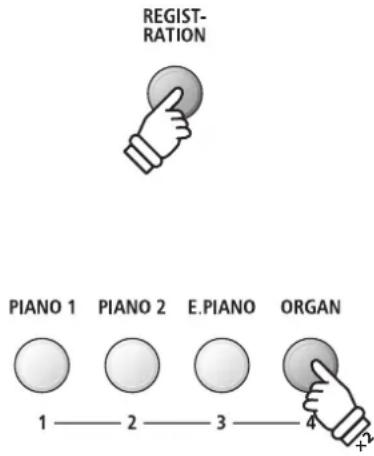 REGIST- RATION PIANO 1 PIANO 2 E.PIANO ORGAN 1——2——3——4+