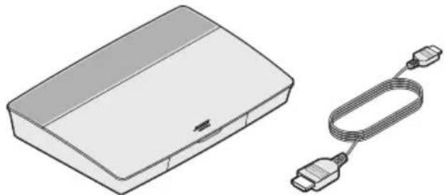 BOSE Lifestyle 550 - Aus Karton - 2