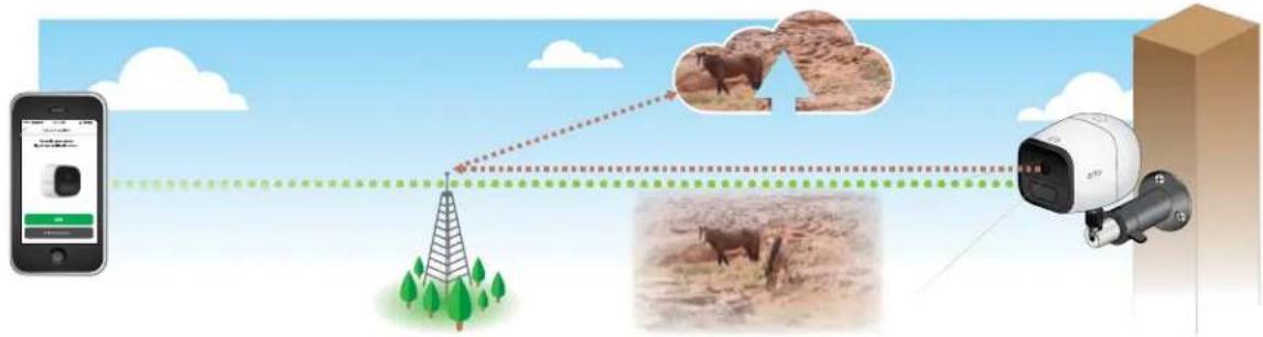 Diagram illustrating surveillance system with drone, cloud image, and surveillance camera interacting with a livestock in a desert environment