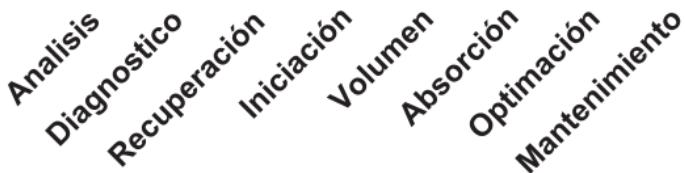 Analisis Diagnostico Recuperación Iniciación Volumen Absorción Optimación Mantenimiento